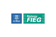 Sistema FIEG